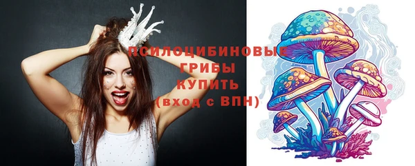 хмурый Касимов