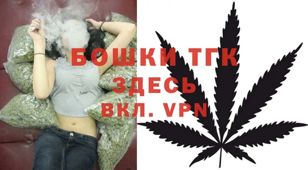 хмурый Касимов