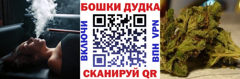 Купить  Асино  Шишки марихуана планчик 
